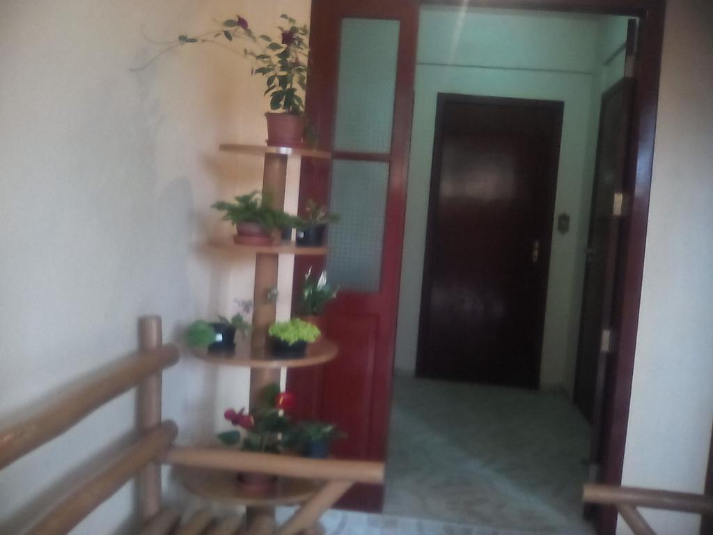 Residencial Dona Vilma Hotell Florianópolis Eksteriør bilde